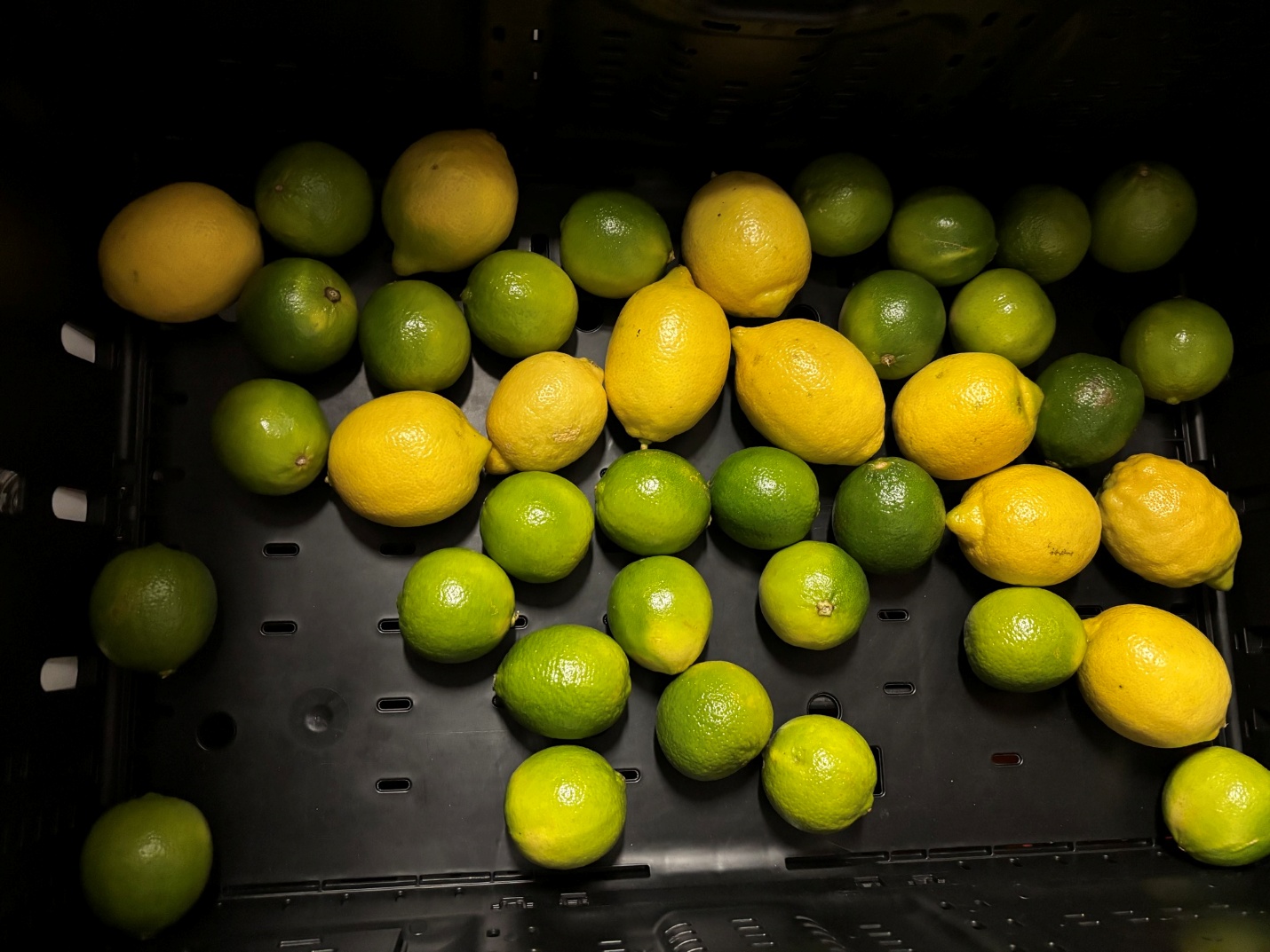1 kg Zitronen und Limetten
